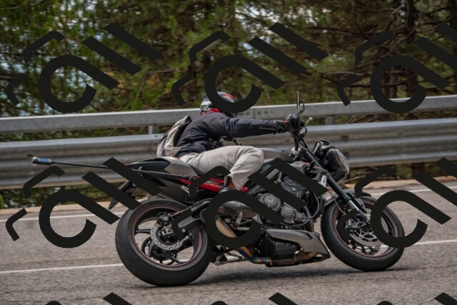 202508231343-DSC_7039_c4_