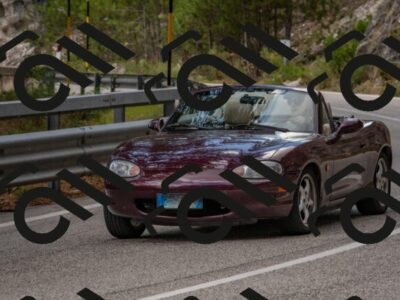 202508231344-DSC_7040_c4_