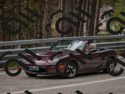 202508231344-DSC_7041_c4_