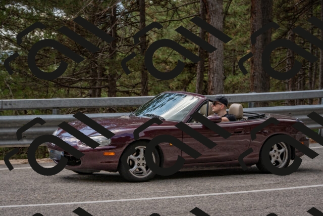 202508231344-DSC_7042_c4_