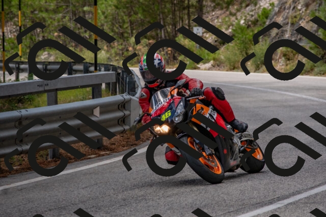 202508231346-DSC_7043_c4_