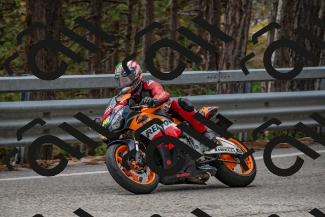 202508231346-DSC_7044_c4_