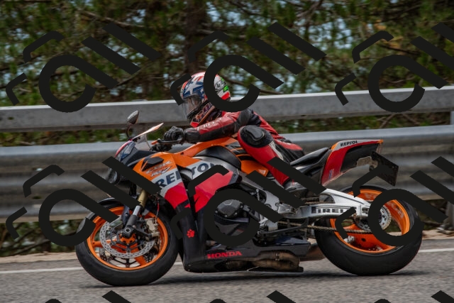 202508231346-DSC_7045_c4_