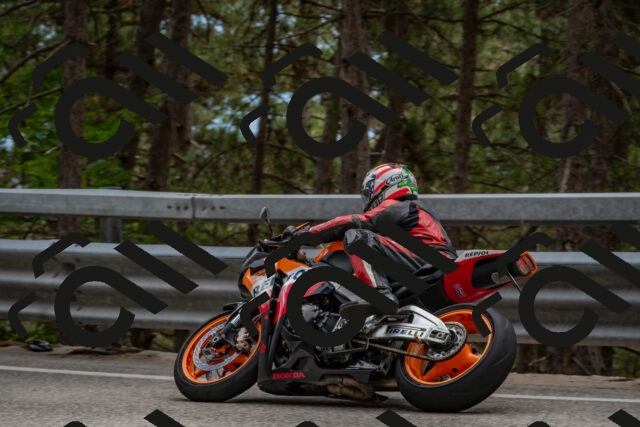 202508231346-DSC_7046_c4_