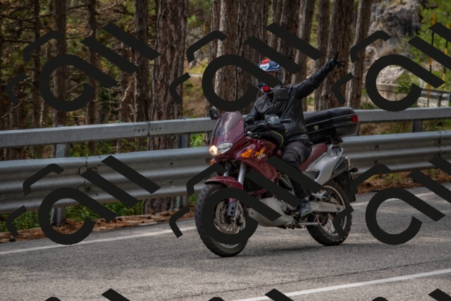 202508231346-DSC_7048_c4_