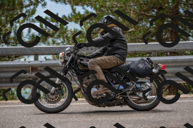 202508231347-DSC_7052_c4_