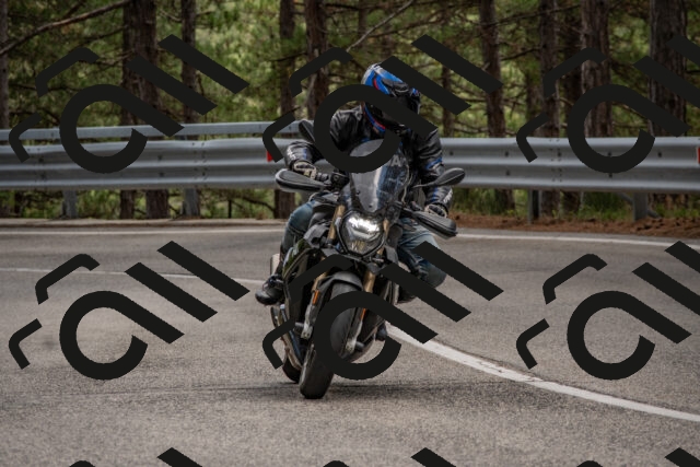 202508231350-DSC_7060_c4_