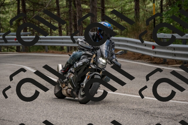 202508231350-DSC_7061_c4_