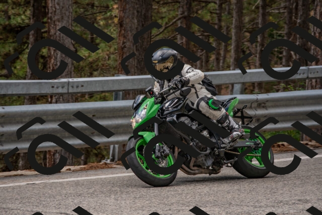 202508231351-DSC_7065_c4_