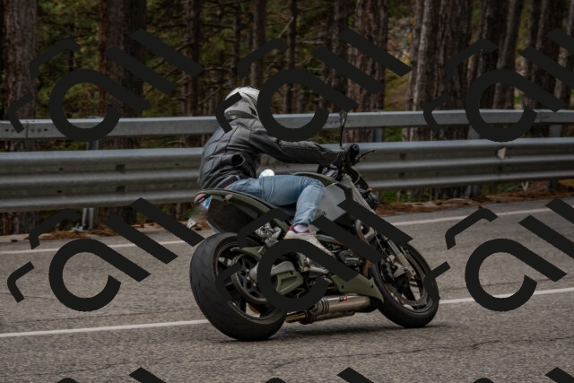 202508231351-DSC_7071_c4_