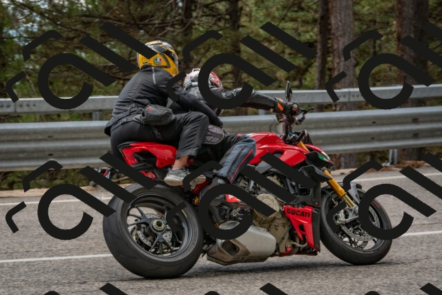 202508231351-DSC_7075_c4_