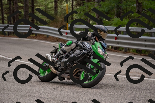 202508231352-DSC_7077_c4_