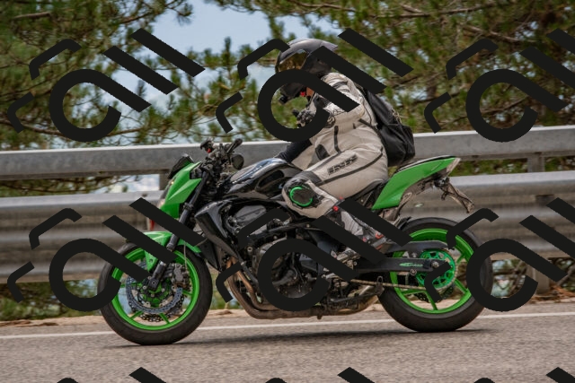 202508231352-DSC_7081_c4_