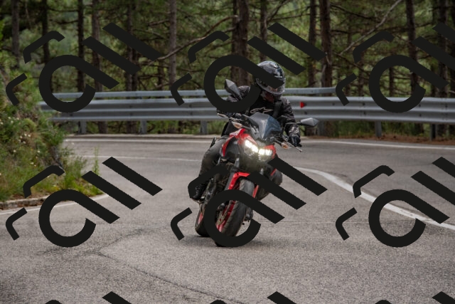 202508231353-DSC_7083_c4_