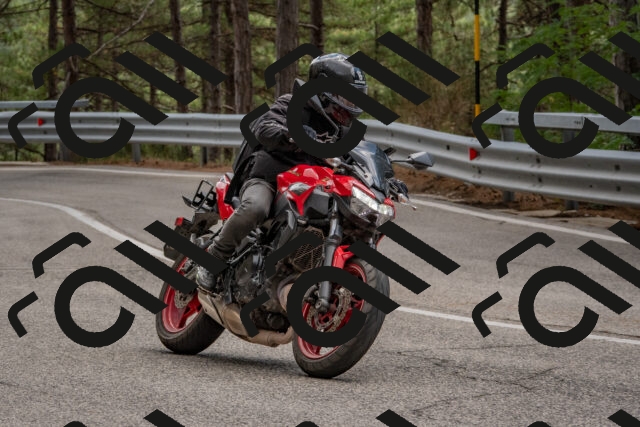 202508231353-DSC_7084_c4_