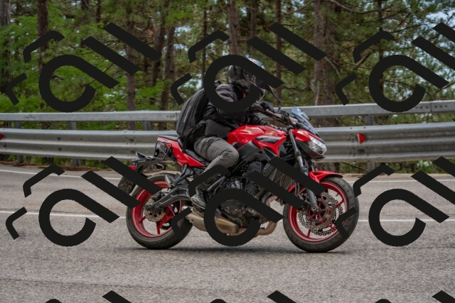 202508231353-DSC_7085_c4_