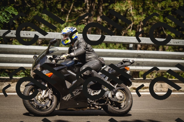 20250823122142-_0AP3127_c5_