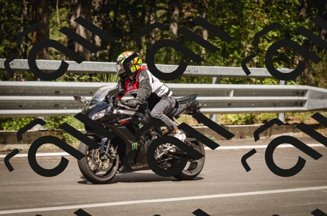 20250823124437-_0AP3174_c5_