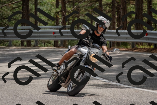 202508231406-DSC_7087_c4_