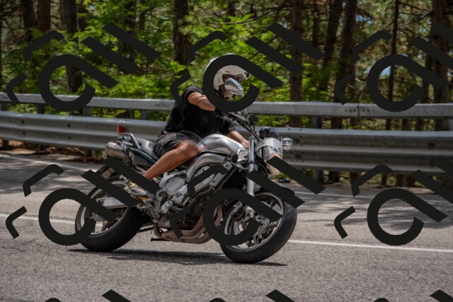 202508231406-DSC_7088_c4_