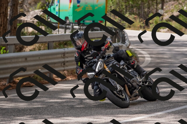 202508231411-DSC_7091_c4_