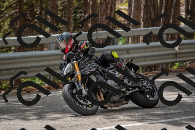 202508231411-DSC_7092_c4_