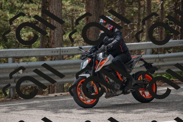 202508231419-DSC_7100_c4_