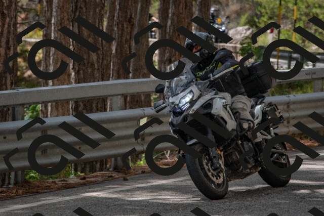 202508231420-DSC_7104_c4_