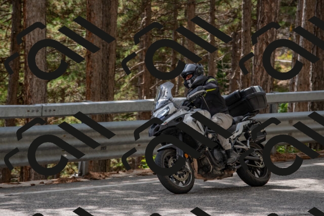 202508231420-DSC_7105_c4_