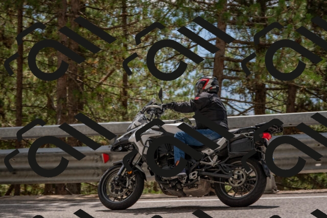 202508231420-DSC_7119_c4_