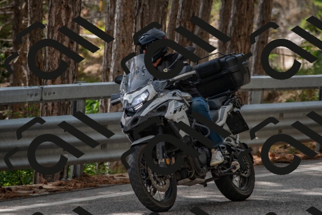 202508231420-DSC_7120_c4_