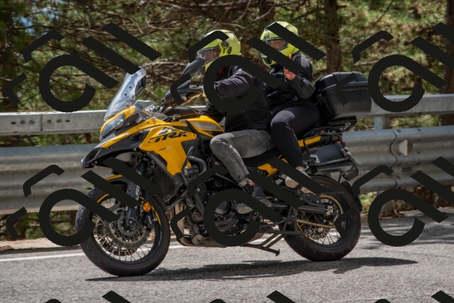 202508231420-DSC_7130_c4_