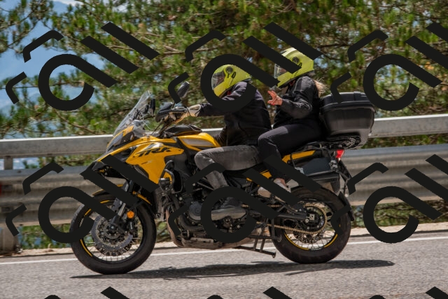 202508231420-DSC_7131_c4_