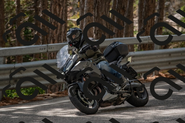 202508231422-DSC_7133_c4_