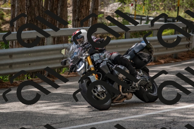 202508231422-DSC_7137_c4_