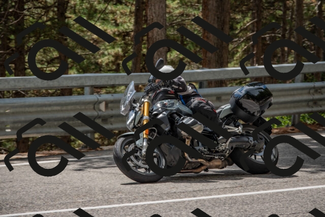 202508231422-DSC_7138_c4_