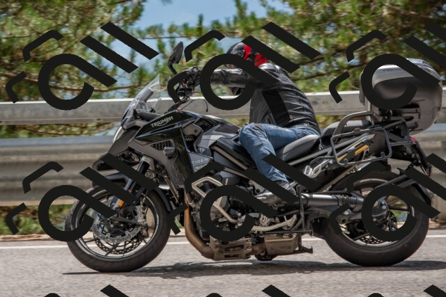 202508231422-DSC_7142_c4_