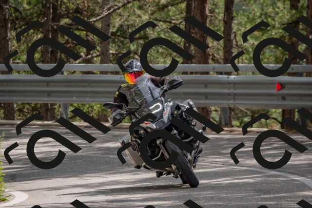 202508231426-DSC_7145_c4_