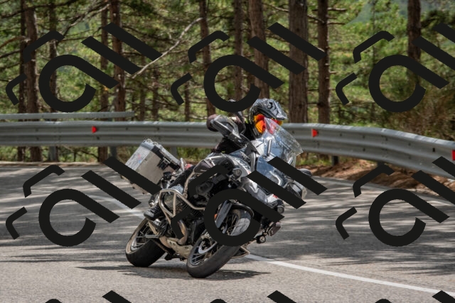 202508231426-DSC_7147_c4_