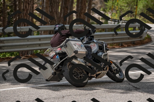 202508231426-DSC_7150_c4_