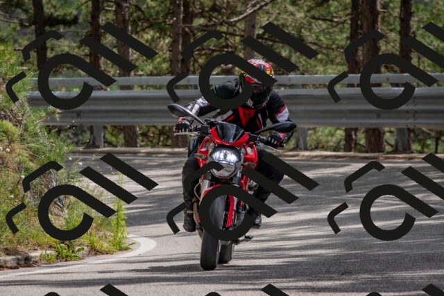 202508231426-DSC_7152_c4_