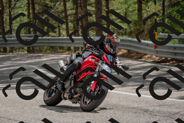 202508231426-DSC_7154_c4_