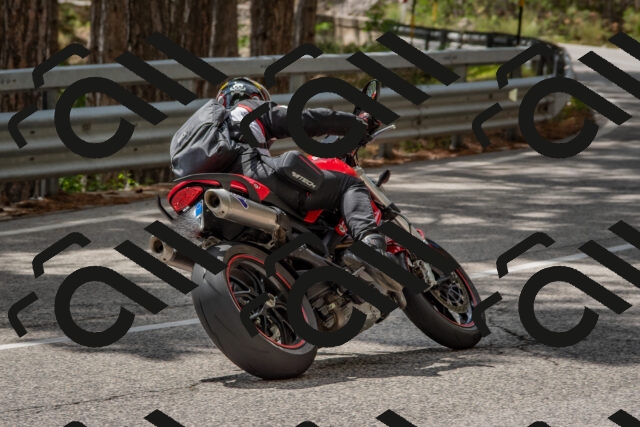 202508231426-DSC_7156_c4_