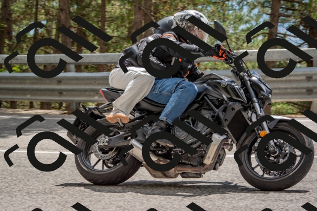 202508231427-DSC_7161_c4_