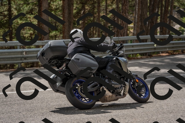 202508231427-DSC_7165_c4_