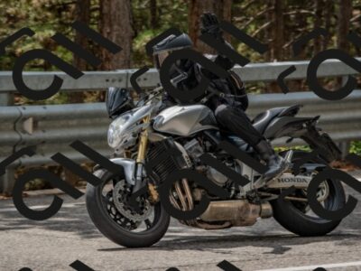 202508231428-DSC_7166_c4_