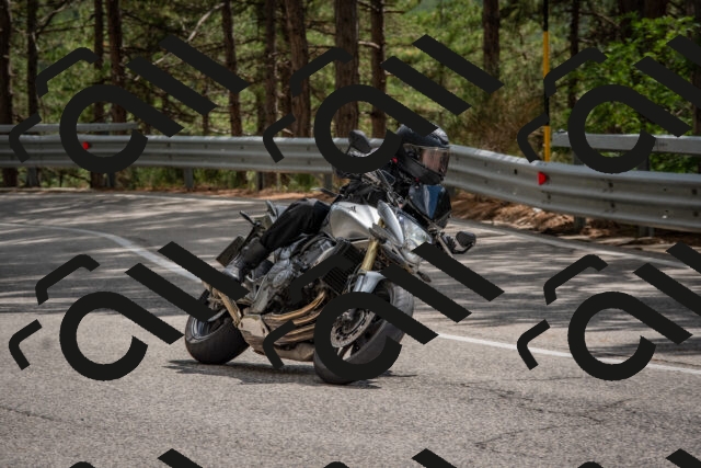 202508231429-DSC_7170_c4_