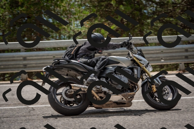 202508231429-DSC_7172_c4_