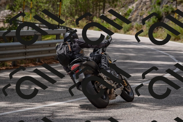 202508231429-DSC_7173_c4_