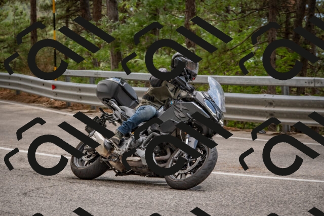 202508231432-DSC_7176_c4_